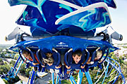 Eingeweiht: der neue "Manta" wird zur Top Attraktion der Saison 2009 im Sea World Orlando (Foto: Sea World Orlando)